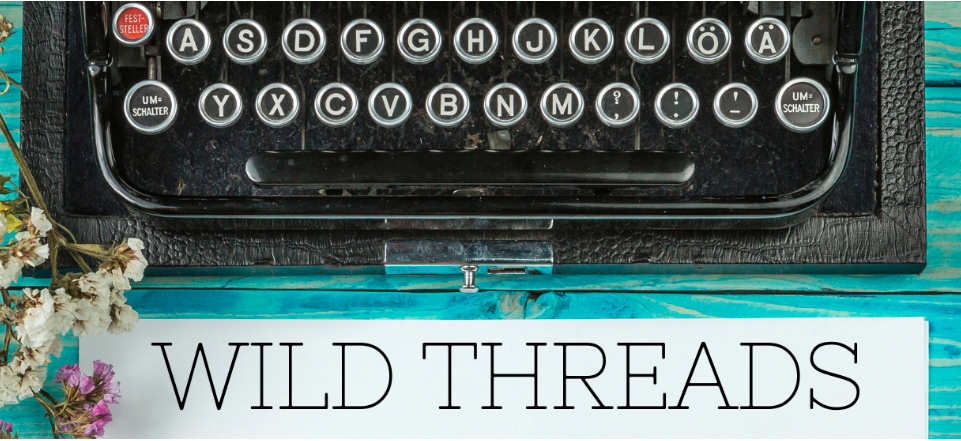 Wild Threads Literary Festival Presents: FIRESIDE CHAT MATINEE: STEVE PATTERSON & PATRICK LEDWELL
